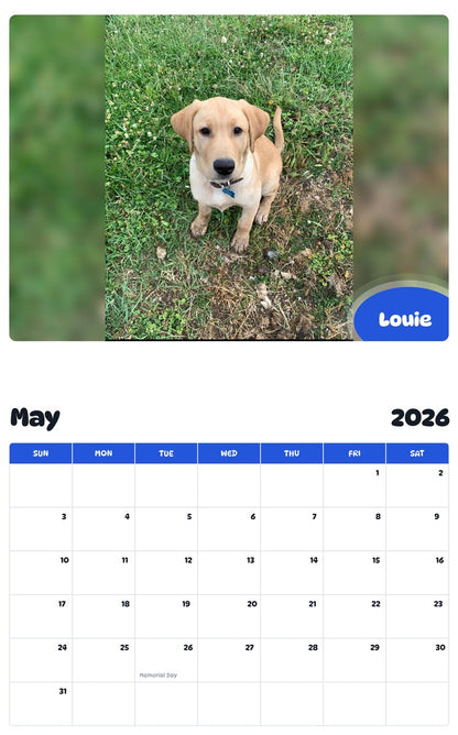 2026 - 2027 Louie - Pawidols Pet Calendar