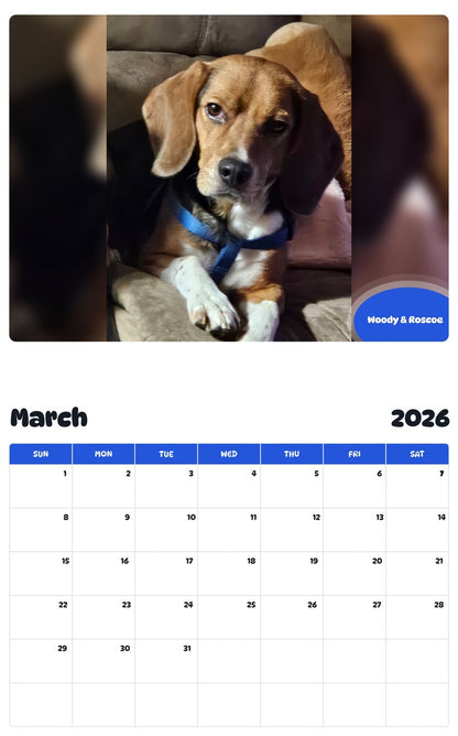November 2025 - October 2026 Woody & Roscoe - Pawidols Pet Calendar