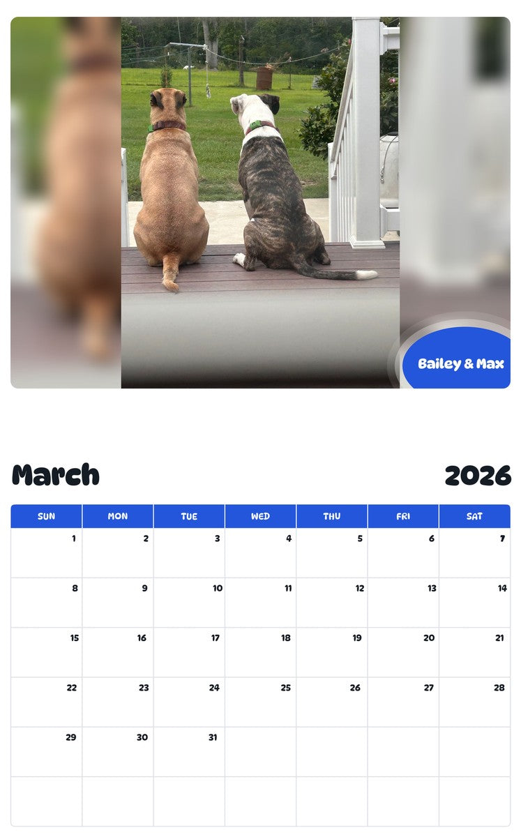 November 2025 - October 2026 Bailey & Max - Pawidols Pet Calendar