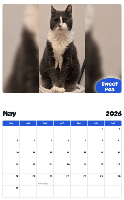2026 - 2027 Sweet Pea - Pawidols Pet Calendar