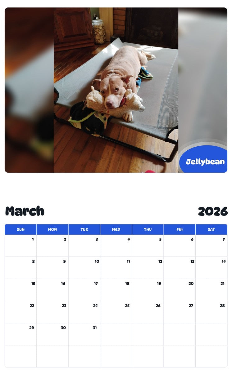 November 2025 - October 2026 Jellybean - Pawidols Pet Calendar