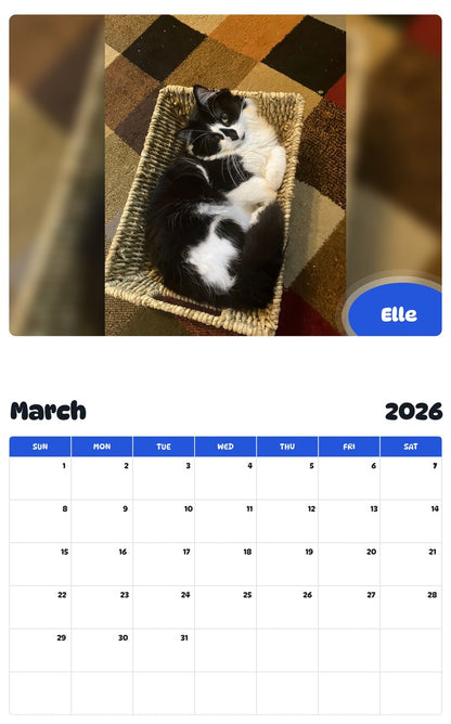 November 2025 - October 2026 Elle - Pawidols Pet Calendar