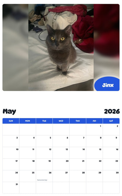 2026 - 2027 Jinx - Pawidols Pet Calendar