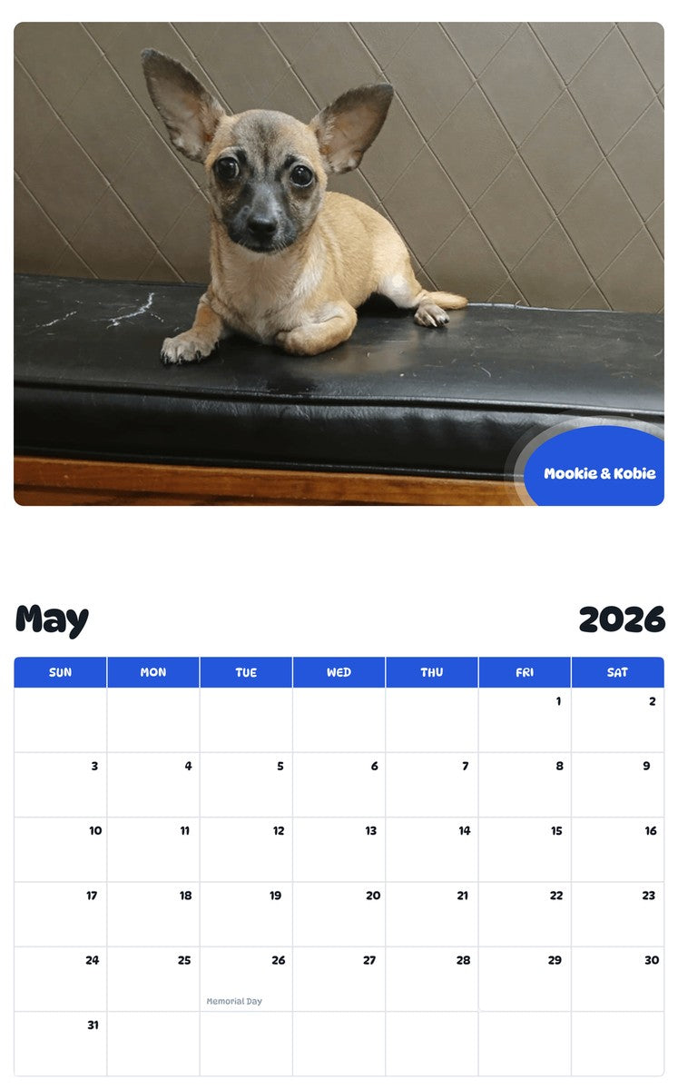 2026 - 2027 Mookie & Kobie - Pawidols Pet Calendar