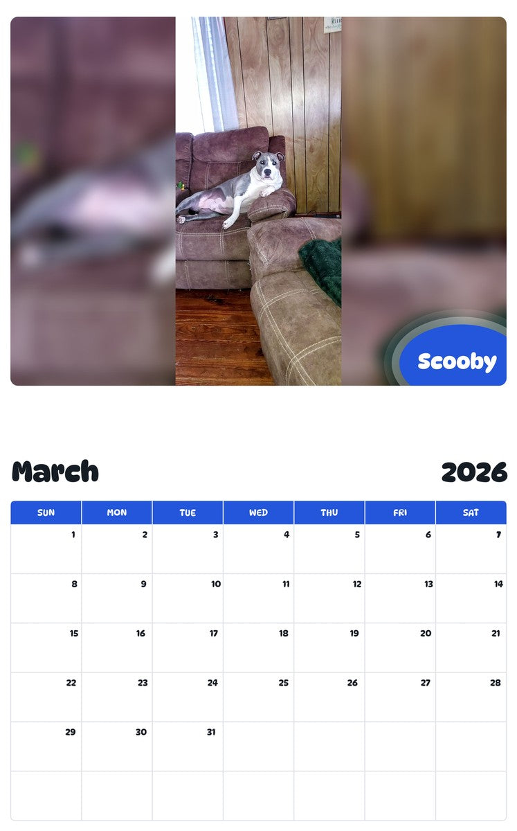 November 2025 - October 2026 Scooby - Pawidols Pet Calendar