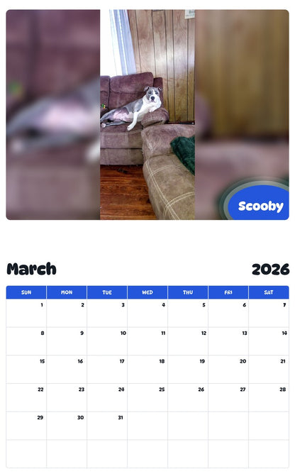 November 2025 - October 2026 Scooby - Pawidols Pet Calendar