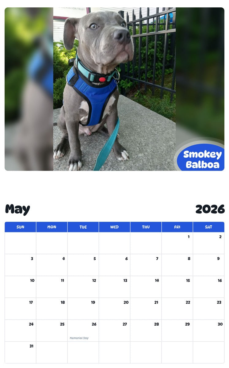 2026 - 2027 Smokey Balboa - Pawidols Pet Calendar