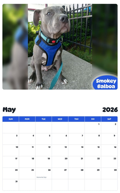 2026 - 2027 Smokey Balboa - Pawidols Pet Calendar