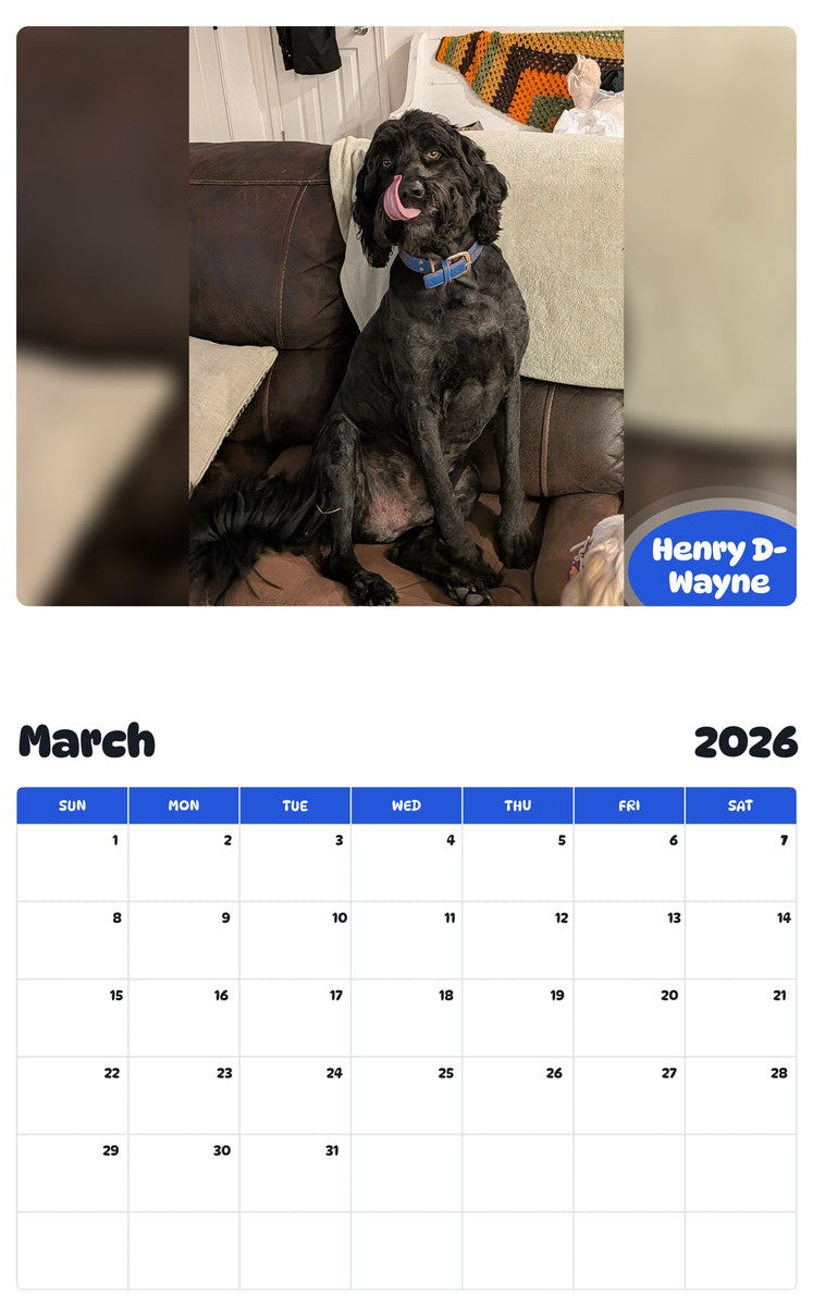 November 2025 - October 2026 Henry D-Wayne - Pawidols Pet Calendar