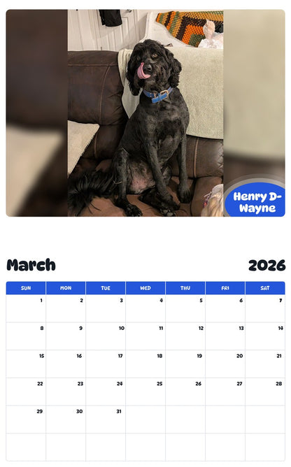 November 2025 - October 2026 Henry D-Wayne - Pawidols Pet Calendar