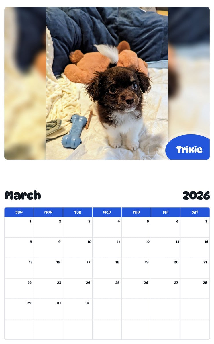 November 2025 - October 2026 Trixie - Pawidols Pet Calendar