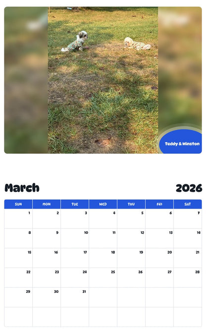 November 2025 - October 2026 Teddy & Winston - Pawidols Pet Calendar