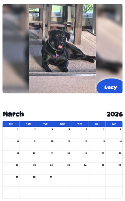 November 2025 - October 2026 Lucy - Pawidols Pet Calendar