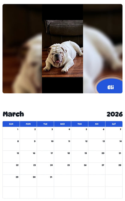 November 2025 - October 2026 Eli - Pawidols Pet Calendar