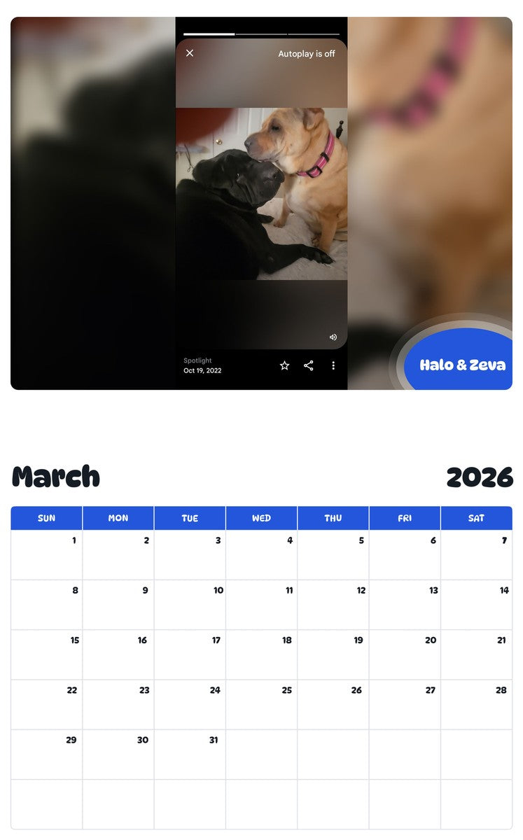 November 2025 - October 2026 Halo & Zeva - Pawidols Pet Calendar