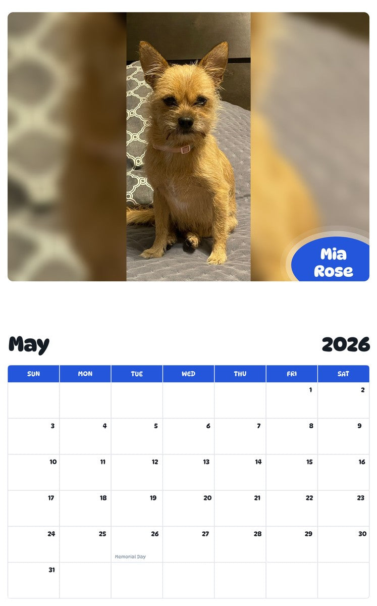 2026 - 2027 Mia Rose - Pawidols Pet Calendar