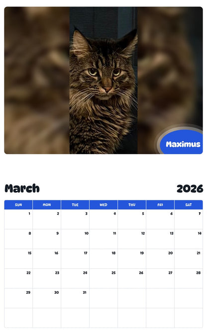 November 2025 - October 2026 Maximus - Pawidols Pet Calendar