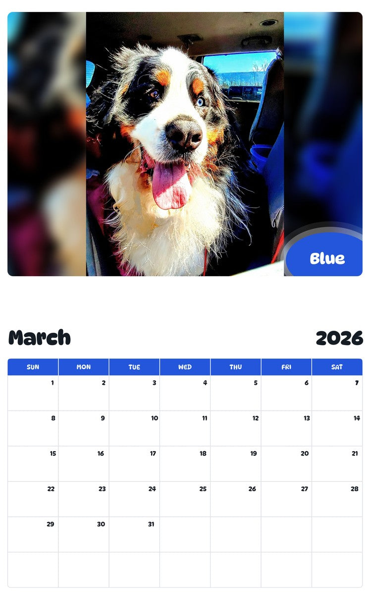 November 2025 - October 2026 Blue - Pawidols Pet Calendar