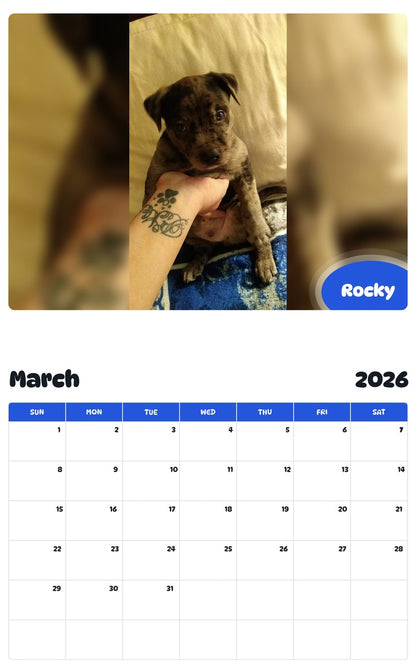 November 2025 - October 2026 Rocky - Pawidols Pet Calendar