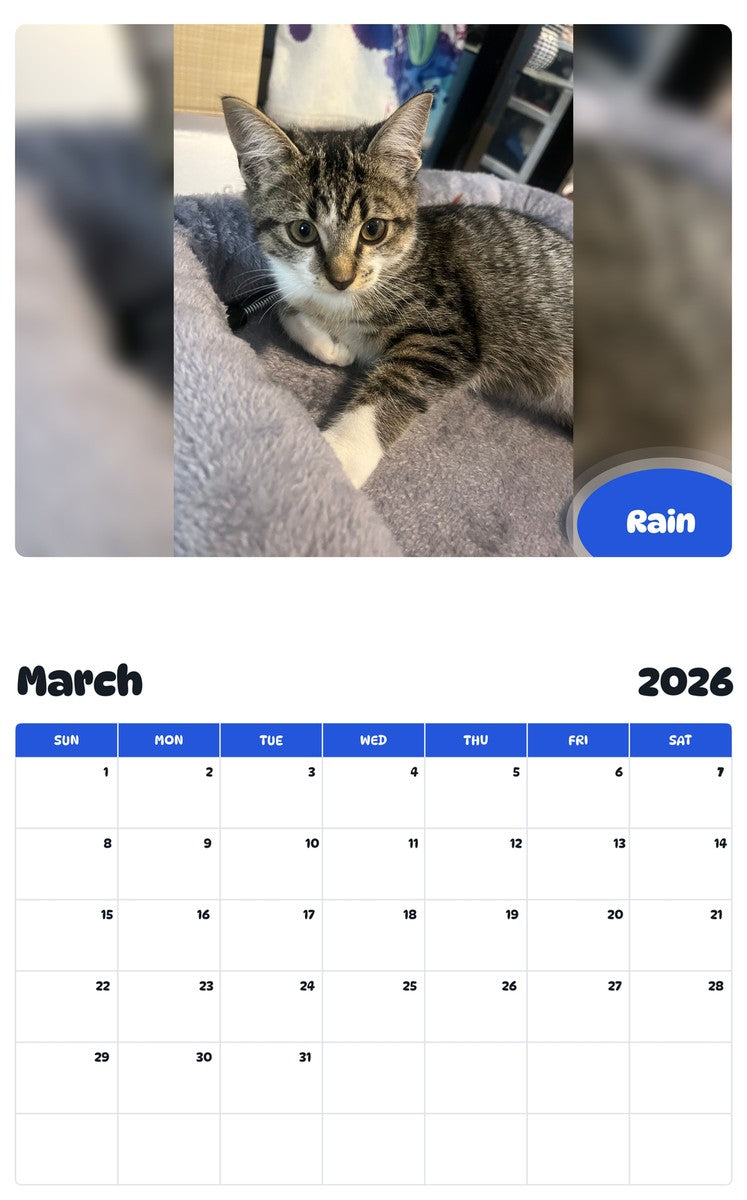 November 2025 - October 2026 Rain - Pawidols Pet Calendar