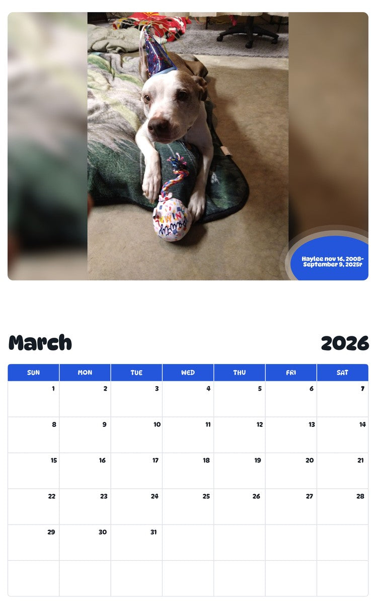 November 2025 - October 2026 Haylee nov 16, 2008-September 9, 2025r - Pawidols Pet Calendar