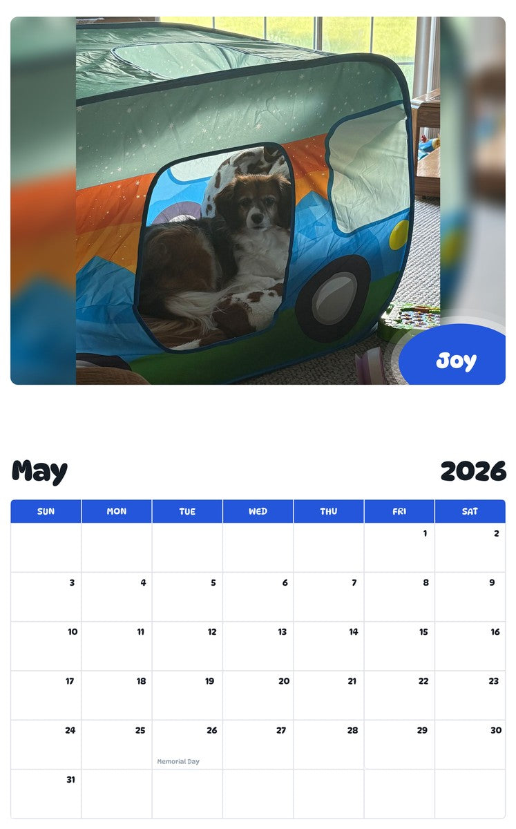 2026 - 2027 Joy - Pawidols Pet Calendar
