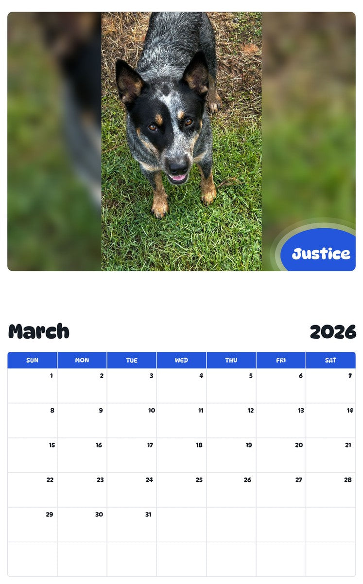 November 2025 - October 2026 Justice - Pawidols Pet Calendar