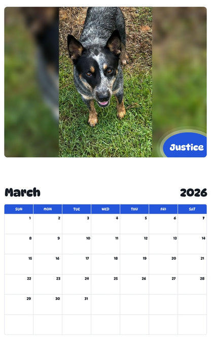 November 2025 - October 2026 Justice - Pawidols Pet Calendar