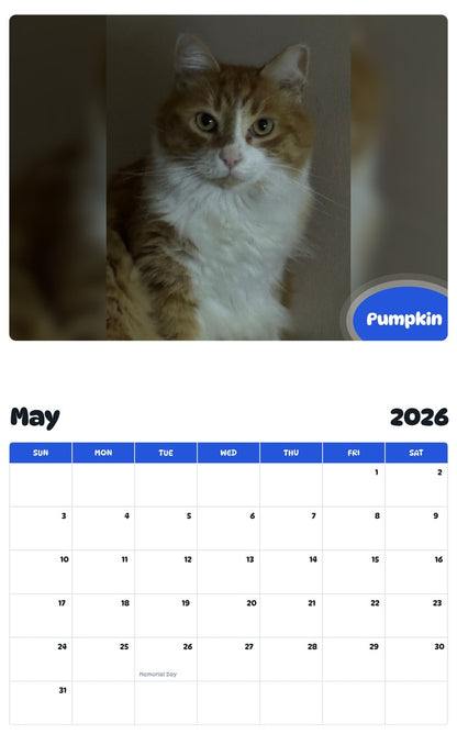 2026 - 2027 Pumpkin - Pawidols Pet Calendar