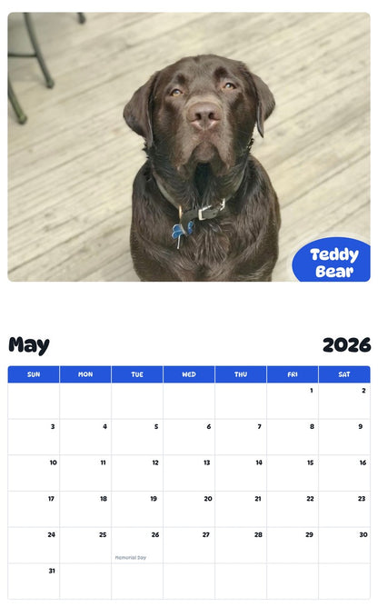 2026 - 2027 Teddy Bear - Pawidols Pet Calendar