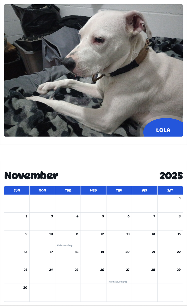 July 2025 - June 2026 Lola - Pawidols Pet Calendar