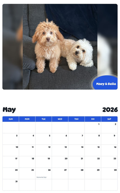 2026 - 2027 Macy & Belle - Pawidols Pet Calendar