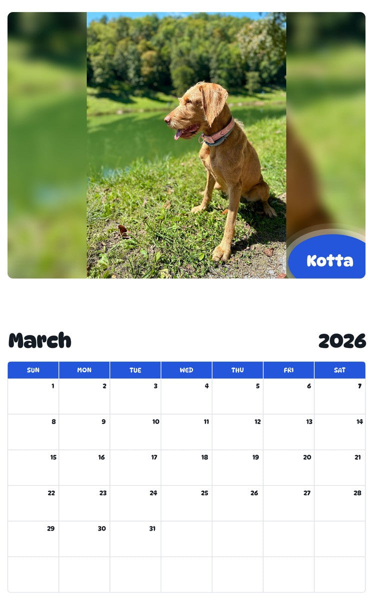 November 2025 - October 2026 Kotta - Pawidols Pet Calendar