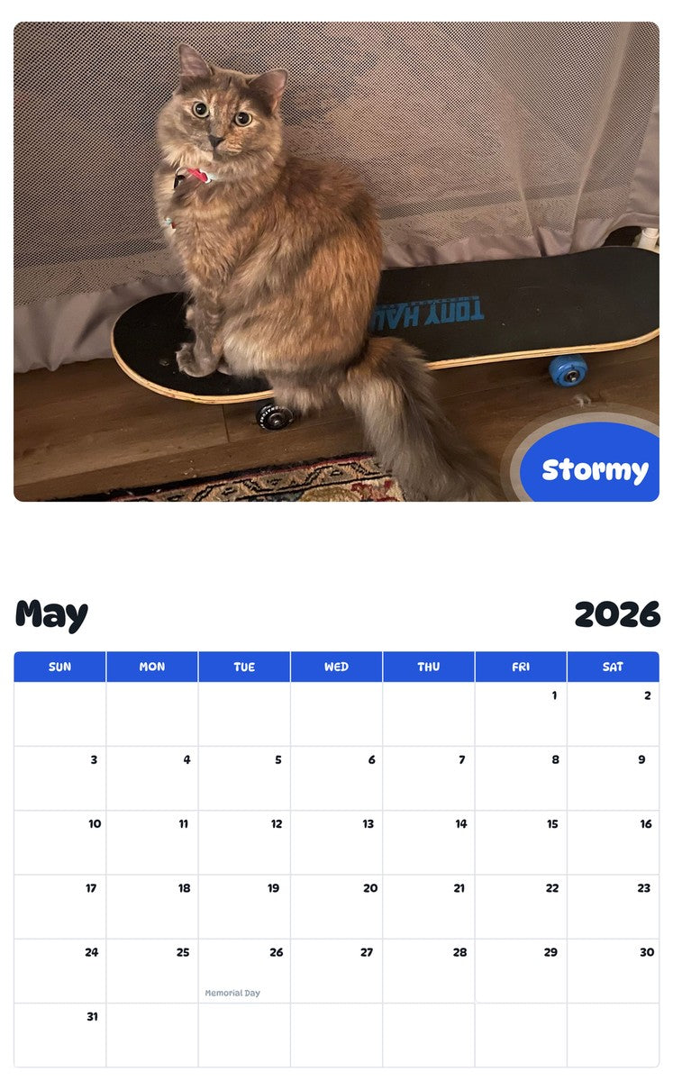 2026 - 2027 Stormy - Pawidols Pet Calendar