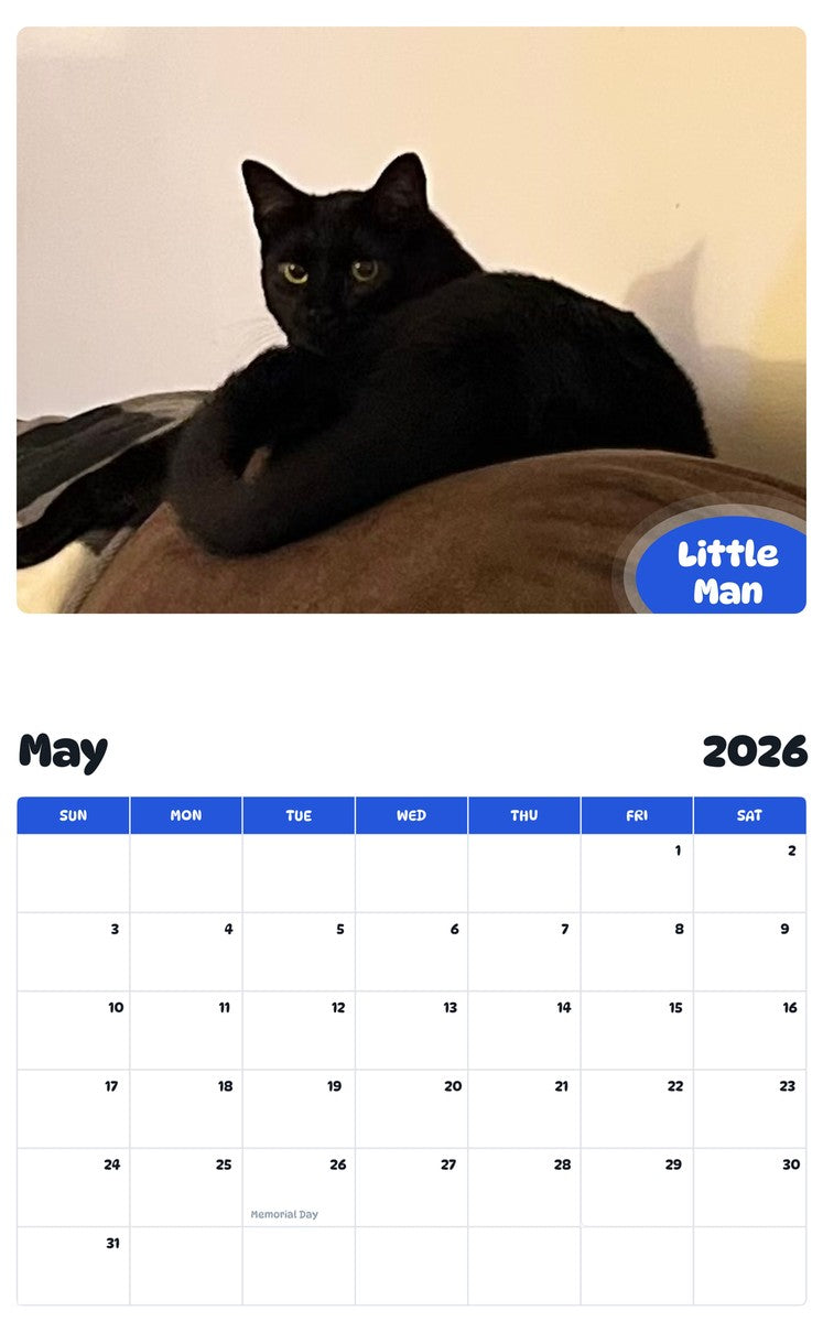 2026 - 2027 Little Man - Pawidols Pet Calendar