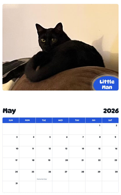 2026 - 2027 Little Man - Pawidols Pet Calendar
