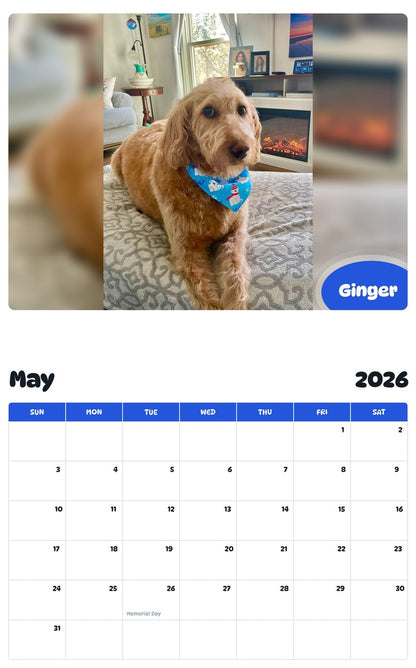 2026 - 2027 Ginger - Pawidols Pet Calendar