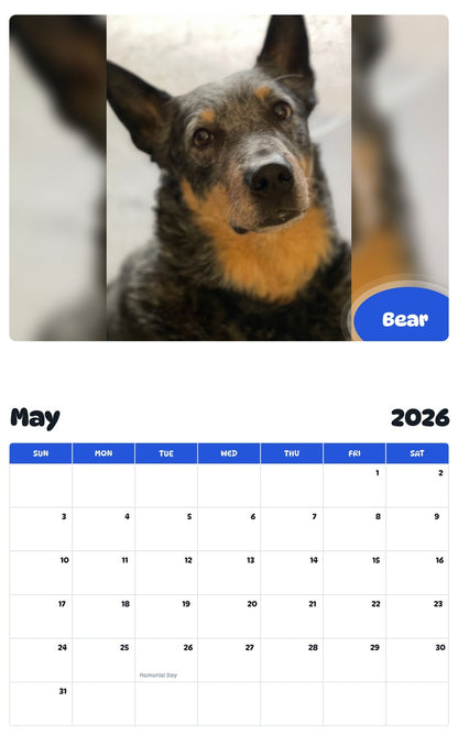 2026 - 2027 Bear - Pawidols Pet Calendar
