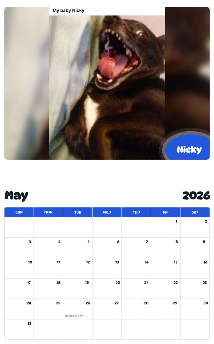 2026 - 2027 Nicky - Pawidols Pet Calendar