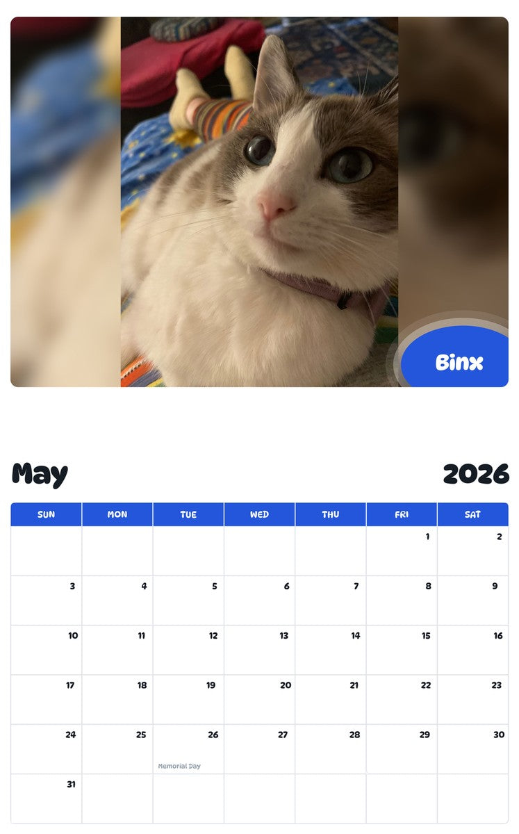 2026 - 2027 Binx - Pawidols Pet Calendar