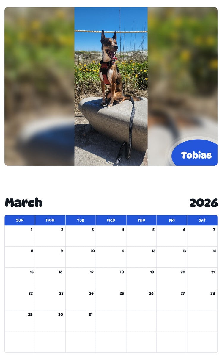 November 2025 - October 2026 Tobias - Pawidols Pet Calendar