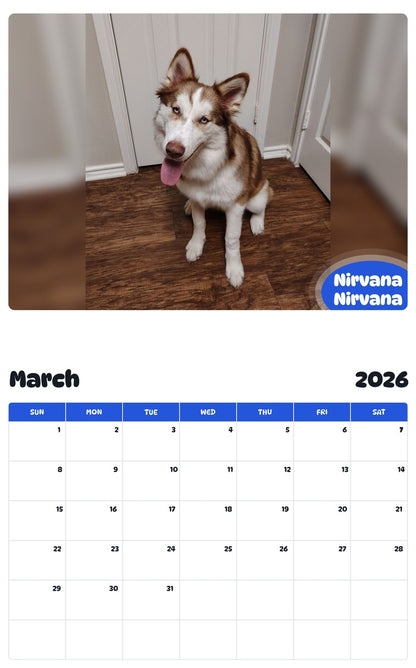 November 2025 - October 2026 Nirvana Nirvana - Pawidols Pet Calendar
