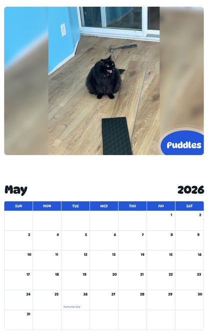 2026 - 2027 Puddles - Pawidols Pet Calendar