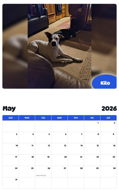 2026 - 2027 Kilo - Pawidols Pet Calendar