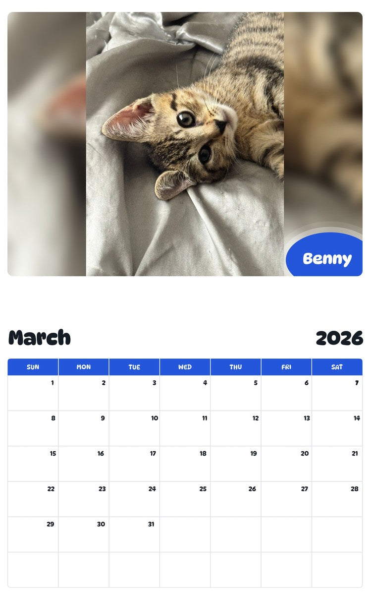 November 2025 - October 2026 Benny - Pawidols Pet Calendar