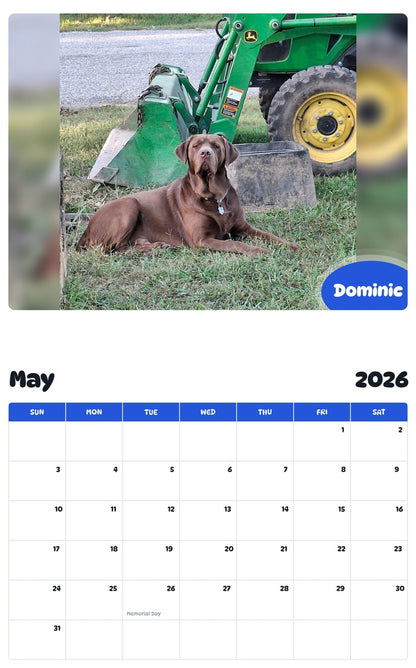 2026 - 2027 Dominic - Pawidols Pet Calendar