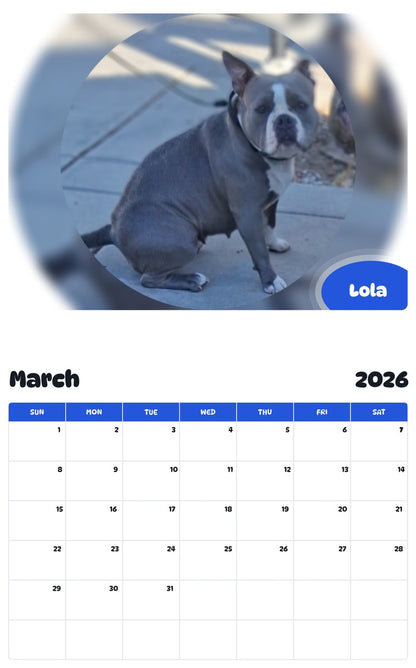 November 2025 - October 2026 Lola - Pawidols Pet Calendar