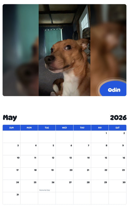 2026 - 2027 Odin - Pawidols Pet Calendar