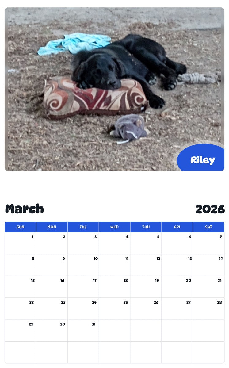 November 2025 - October 2026 Riley - Pawidols Pet Calendar