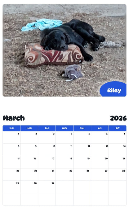 November 2025 - October 2026 Riley - Pawidols Pet Calendar